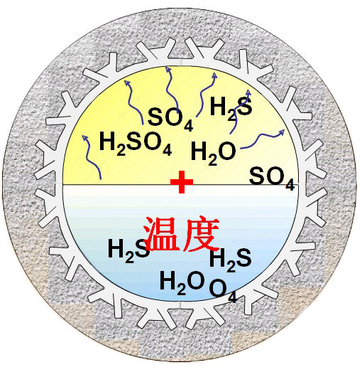 w88win优德(中国)有限公司